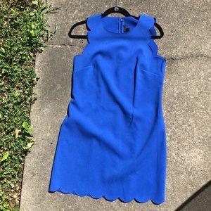 J Crew Scalloped Dress Royal Blue